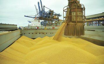 Exportações do agro em maio alcançaram US$ 9,97 bilhões