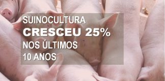 Dia da Suinocultura – 24 de julho