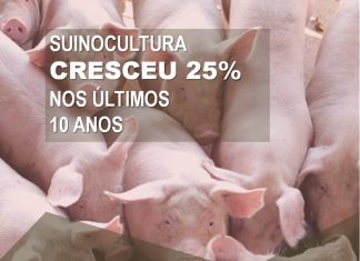 Dia da Suinocultura – 24 de julho