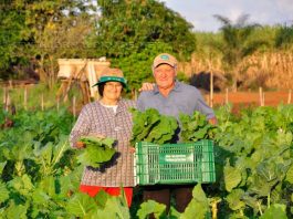 Itapemirim adere ao Programa de Aquisição de Alimentos da Agricultura Familiar.