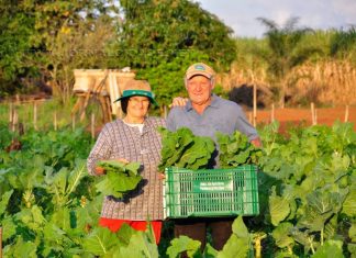 Itapemirim adere ao Programa de Aquisição de Alimentos da Agricultura Familiar.