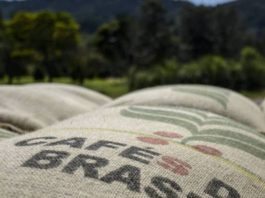 Exportação de café do Brasil mostra recuperação em junho, diz Secex