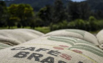 Exportação de café do Brasil mostra recuperação em junho, diz Secex