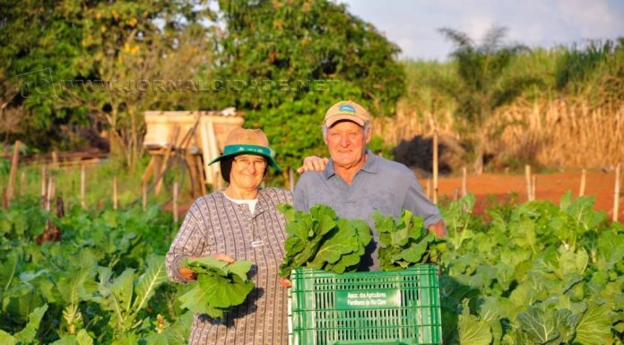 Itapemirim adere ao Programa de Aquisição de Alimentos da Agricultura Familiar.
