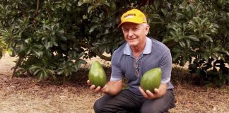 Saboroso, nutritivo e rentável