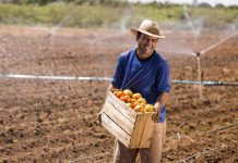 Dia do Agricultor – 28 de julho