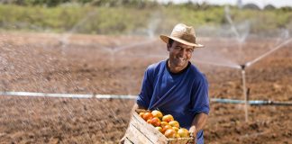 Dia do Agricultor – 28 de julho
