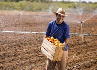 Dia do Agricultor – 28 de julho