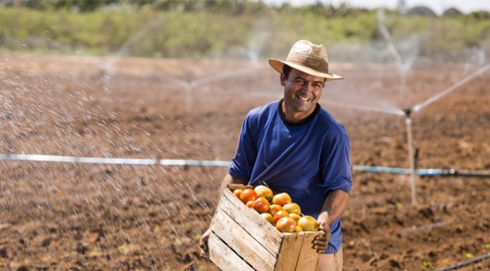 Dia do Agricultor – 28 de julho