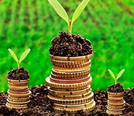 BNDES deve regulamentar até a próxima 4ª-feira linha de crédito de repactuação de dívidas rurais