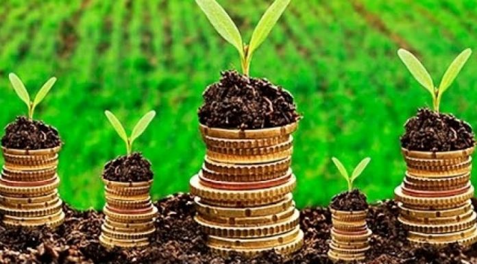 Funrural: Portaria reabre o prazo para renegociação de débitos inscritos em dívida ativa