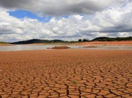 Cenários – Seca acende alerta para safras de cana e café do Brasil em 2019