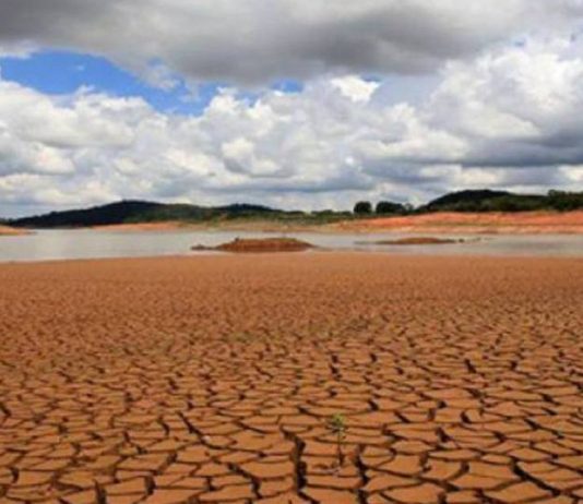 Cenários – Seca acende alerta para safras de cana e café do Brasil em 2019