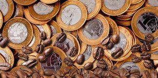 Alta do dólar e valorização externa elevam cotações do robusta no Brasil