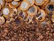 Alta do dólar e valorização externa elevam cotações do robusta no Brasil