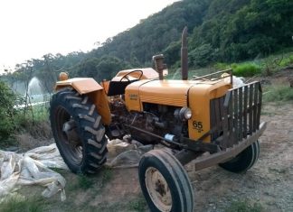 Censo Agro mostra déficit estrutural