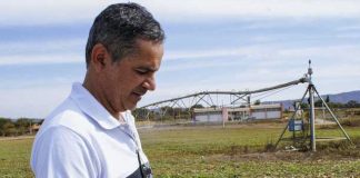 Aplicativo facilita cálculo de irrigação em áreas de cultivo