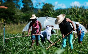 Cooabriel incentiva site que promove oportunidades de trabalho nas propriedades rurais
