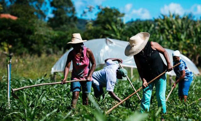 Seag lança segundo edital do Fundo Social de Apoio à Agricultura Familiar a partir desta segunda-feira
