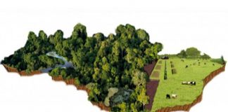 Comissão aprova uso de Cadastro Ambiental Rural para apuração de área tributável