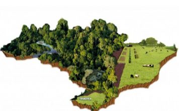 CNA alerta para prazo final de adesão do Cadastro Ambiental Rural