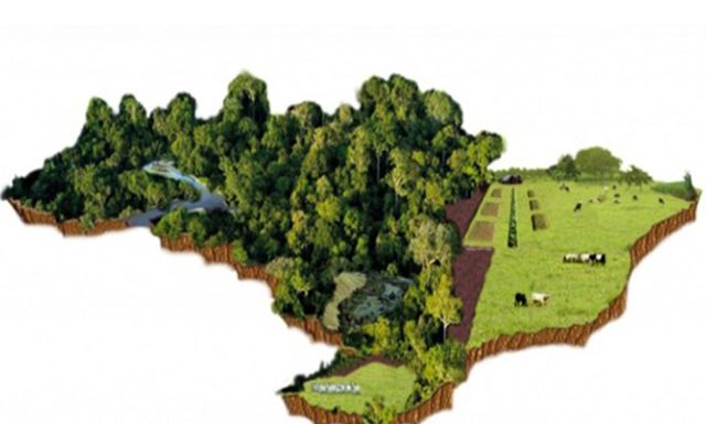 Brasil terá US$ 1,2 bi do BID para projetos de sustentabilidade agrícola