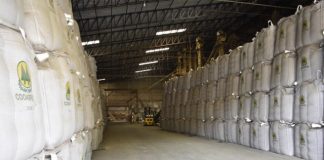 Cooabriel chega a 1 milhão de sacas de café