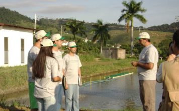 Produtores rurais do Espírito Santo terão mais de 100 treinamentos gratuitos em fevereiro