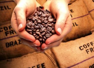 Exportações de café conilon aumentam 527% de janeiro a julho de 2018 em relação ao mesmo período de 2017