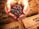 Exportações de café conilon aumentam 527% de janeiro a julho de 2018 em relação ao mesmo período de 2017