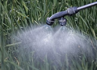 Liminar que proíbe uso do glifosato pode ser derrubada nos próximos dias