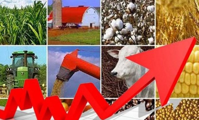 Seguro Rural 2019 tem execução 18% maior