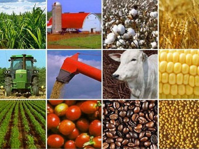 Valor da Produção Agropecuária é de R$ 563,5 bilhões | Revista Procampo