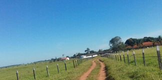 Conheça o Plano Estadual de Segurança Rural do Espírito Santo 2022