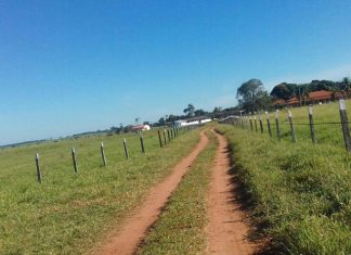 CNA divulga agenda legislativa do agro para 2024