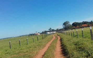 Declaração do Imposto sobre Propriedade Territorial Rural deve ser realizada a partir de 17 de agosto