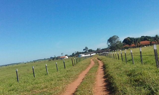 Propriedades com até quatro módulos fiscais devem ser inscritas no CAR até dezembro para garantir benefícios