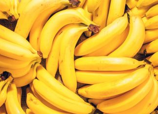 Mapa elabora plano preventivo para evitar ingresso de nova praga que afeta bananeiras