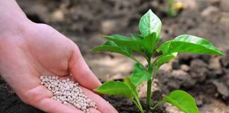 Volume entregue de fertilizantes no Brasil em 2019 foi 2,1% superior ante 2018