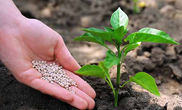 Fertilizantes puxam déficit em produtos químicos