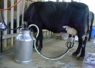 II Seminário de Pecuária de Leite do Norte e Noroeste do ES