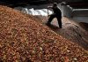 Exportação dos Cafés do Brasil atinge volume de 20,5 milhões de sacas nos oito primeiros meses de 2018