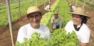 Mais de 140 cursos do Senar-ES em setembro