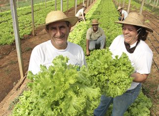 Mais de 140 cursos do Senar-ES em setembro