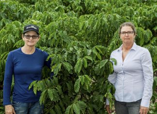 Embrapa e IWCA lançam publicação pioneira sobre mulheres do café