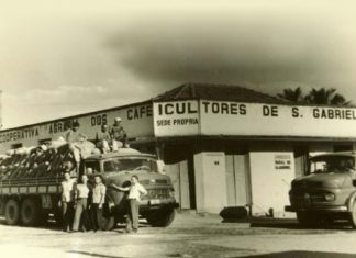 De pequena mercearia a maior cooperativa de conilon do Brasil: a Cooabriel completa 60 anos