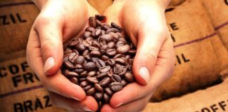 Cafés do Brasil têm produtividade média superior a 32 sacas por hectare em 2018