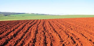 Declaração do ITR pode ser efetuada até 28 de setembro