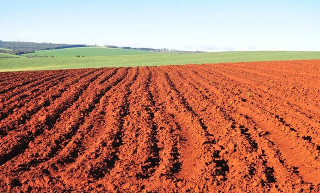 Declaração do ITR pode ser efetuada até 28 de setembro