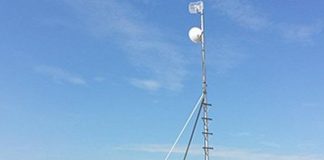 Fibria investe em tecnologia na área florestal